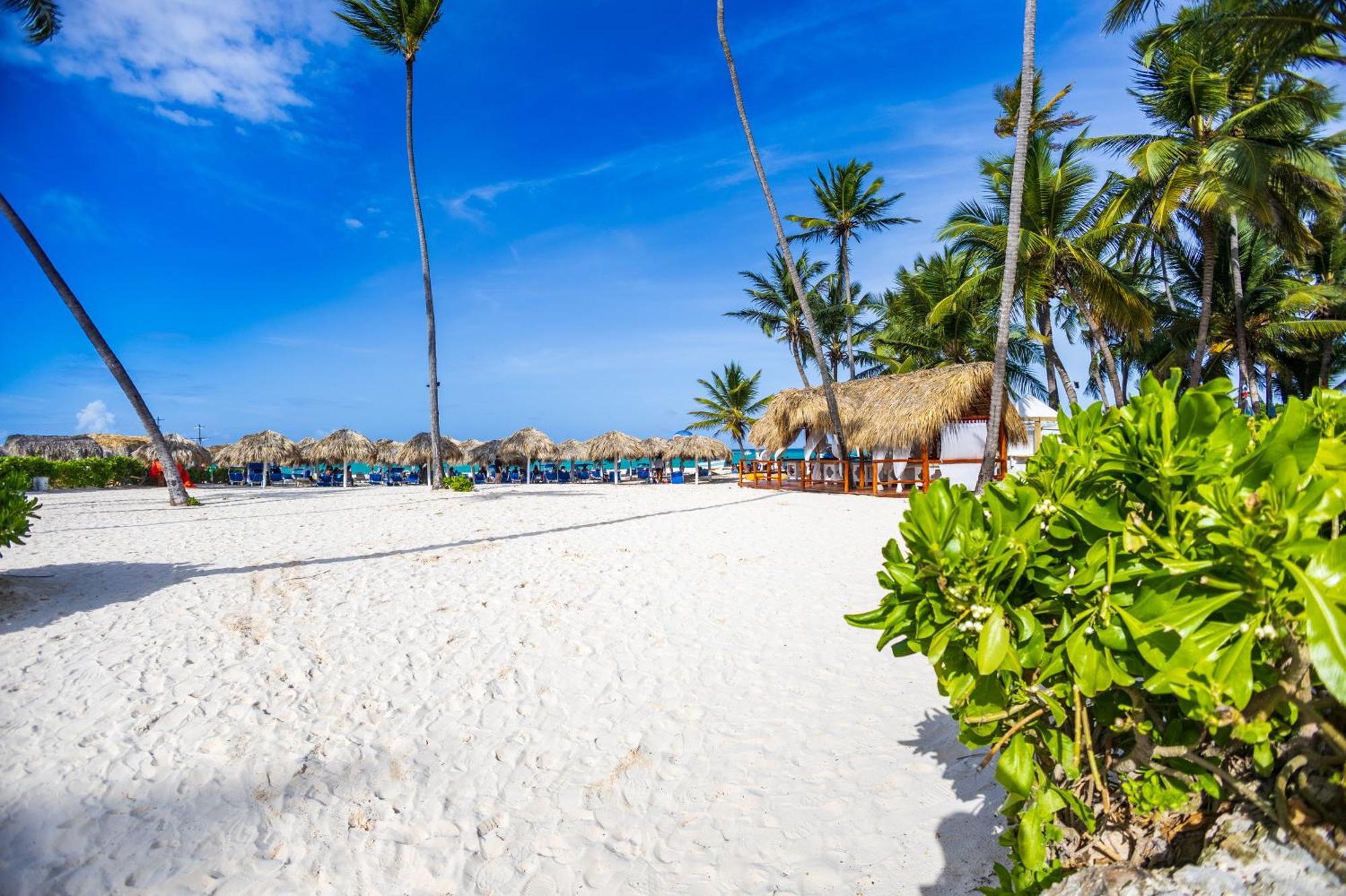 Amazing Penthouse In Punta Cana With Ocean View 외부 사진